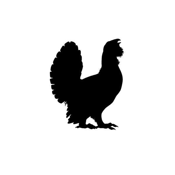 12.5cm*15.5cm fun animal grouse vinyl waterproof car sticker decal black silver c15-3323
12.5cm*15.5cm fun animal grouse vinyl waterproof car sticker decal black silver c15-3323