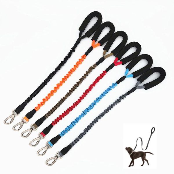 dog collars & leashes explosion proof leash nylon fashion retractable elastic pet rope running training traction for large
dog collars & leashes explosion proof leash nylon fashion retractable elastic pet rope running training traction for large