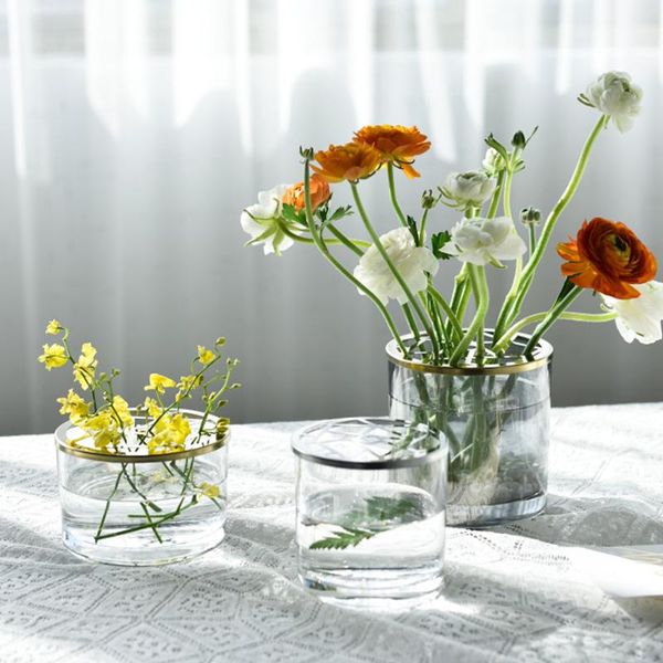 nordic decoration home transparent hydroponic dried flowers vase glasses plant vases decorator tumblers living room terrarium
nordic decoration home transparent hydroponic dried flowers vase glasses plant vases decorator tumblers living room terrarium