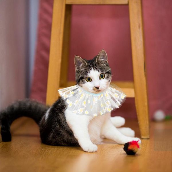 dog apparel pet saliva towel flower pattern lace adjustable bandana polyester bib size
dog apparel pet saliva towel flower pattern lace adjustable bandana polyester bib size