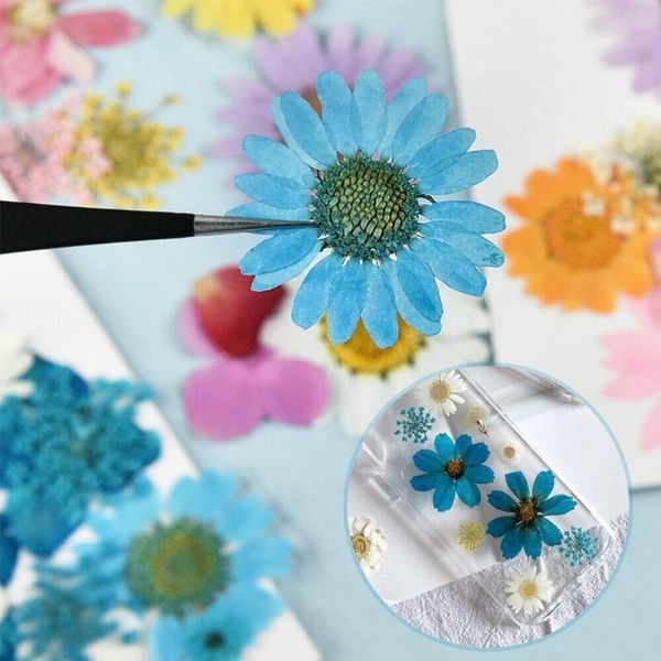 gift wrap 1pc natural dried flowers pressed flower diy material for face embossing decoration epoxy nail making art stickers jewelry j0n7
gift wrap 1pc natural dried flowers pressed flower diy material for face embossing decoration epoxy nail making art stickers jewelry j0n7