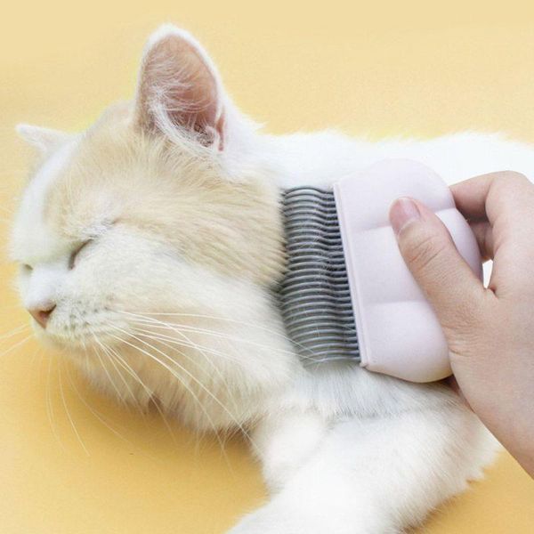 dog grooming pet massage brush shell shaped handle tool to remove loose hairs supplies for small medium cats
dog grooming pet massage brush shell shaped handle tool to remove loose hairs supplies for small medium cats