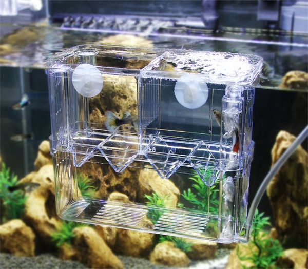 aquariums breeding hatching isolation box delivery room for tropical fish juvenile betta
aquariums breeding hatching isolation box delivery room for tropical fish juvenile betta