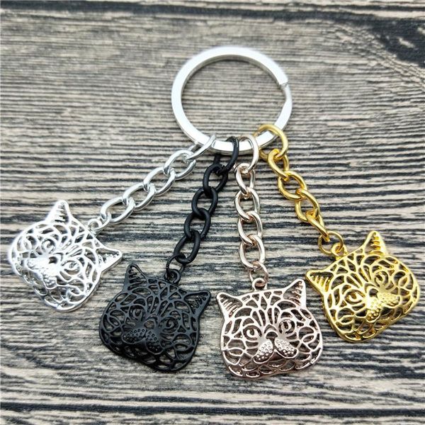 keychains exotic cat key chains fashion pet jewellery trendy car keychain bag keyring for women men, Silver
keychains exotic cat key chains fashion pet jewellery trendy car keychain bag keyring for women men, Silver