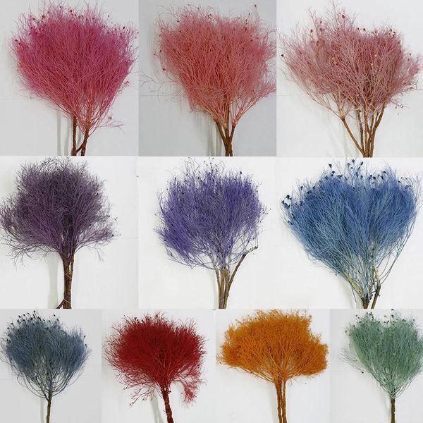 decorative flowers & wreaths 1 bouquet asparagus eternal flower dream grass plants diy craft gift box decor material dried home floral arran 
decorative flowers & wreaths 1 bouquet asparagus eternal flower dream grass plants diy craft gift box decor material dried home floral arran