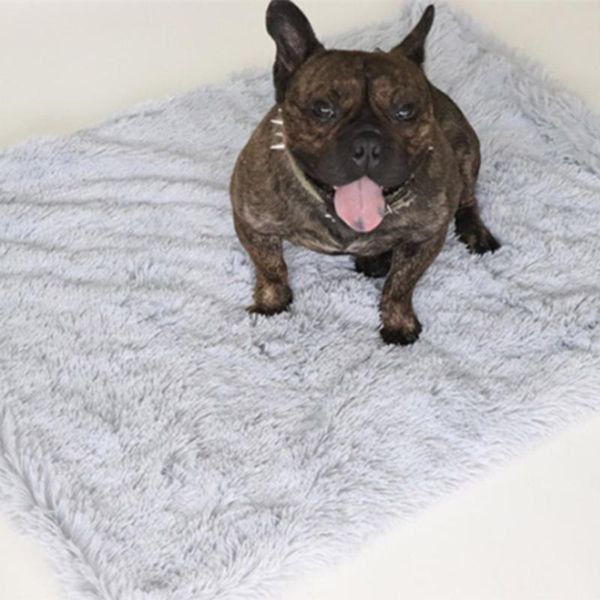 long plush pet dog cat bed blankets fluffy dog bed mats deep sleeping soft summer thin covers for large dogs solid cats mattress
long plush pet dog cat bed blankets fluffy dog bed mats deep sleeping soft summer thin covers for large dogs solid cats mattress