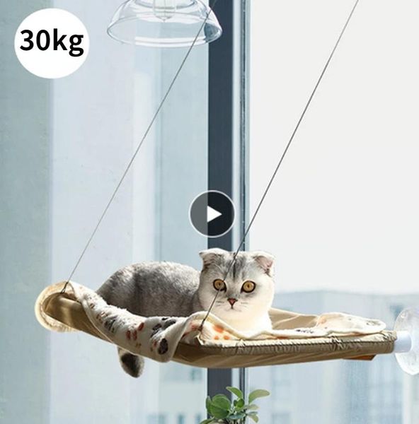 cat beds & furniture hanging pet hammock bed for cats comfortable window with blanket kitty sunny seat mount bearing 20kg
cat beds & furniture hanging pet hammock bed for cats comfortable window with blanket kitty sunny seat mount bearing 20kg
