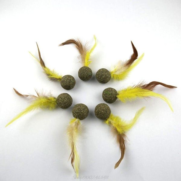 cat toys nature kitten feature toy teeth cleaning catnip ball pet accessories au18 20 dropship 
cat toys nature kitten feature toy teeth cleaning catnip ball pet accessories au18 20 dropship