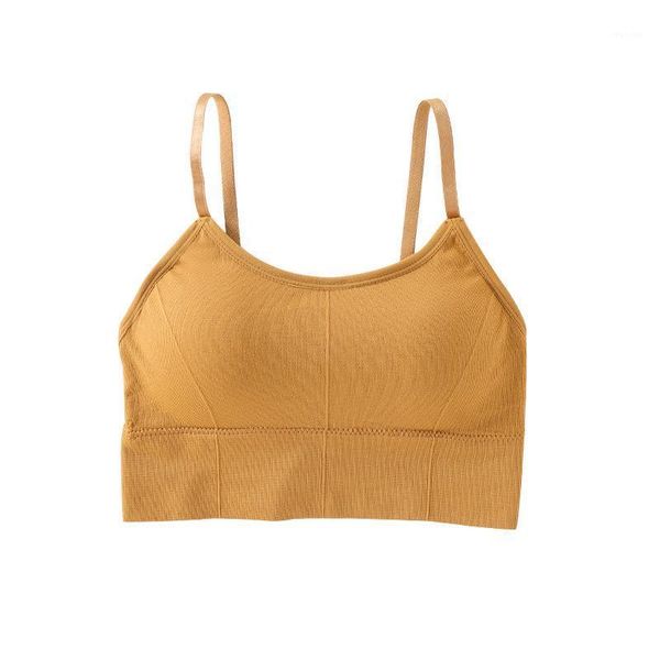 yoga outfit sport bra women push up fitness running gym wire breathable sleep shockproof sports
yoga outfit sport bra women push up fitness running gym wire breathable sleep shockproof sports