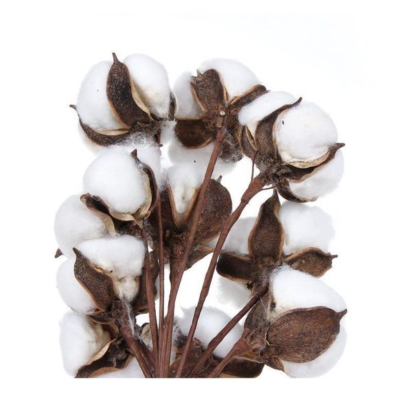 pipifren cotton flower head artificial natural dried home christmas decor diy garland wreath flower material fleur jllqqj 
pipifren cotton flower head artificial natural dried home christmas decor diy garland wreath flower material fleur jllqqj