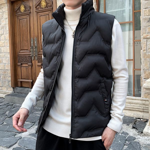 autumn and winter 2021 korean warm jacket down cotton sleeveless vest men's fashion, Black;white
autumn and winter 2021 korean warm jacket down cotton sleeveless vest men's fashion, Black;white