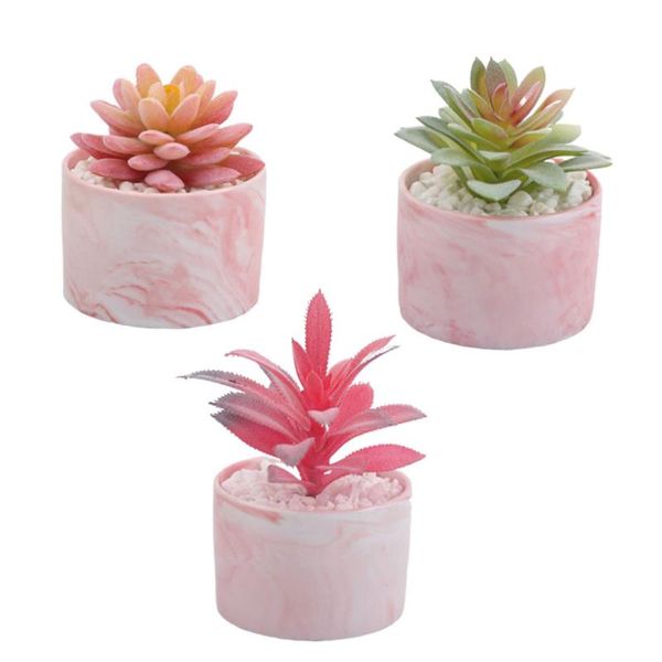 decorative flowers & wreaths 3pcs creative pot plant ceramic bonsai simulate succulent decor delicate potted plants for home garden desktop
decorative flowers & wreaths 3pcs creative pot plant ceramic bonsai simulate succulent decor delicate potted plants for home garden desktop