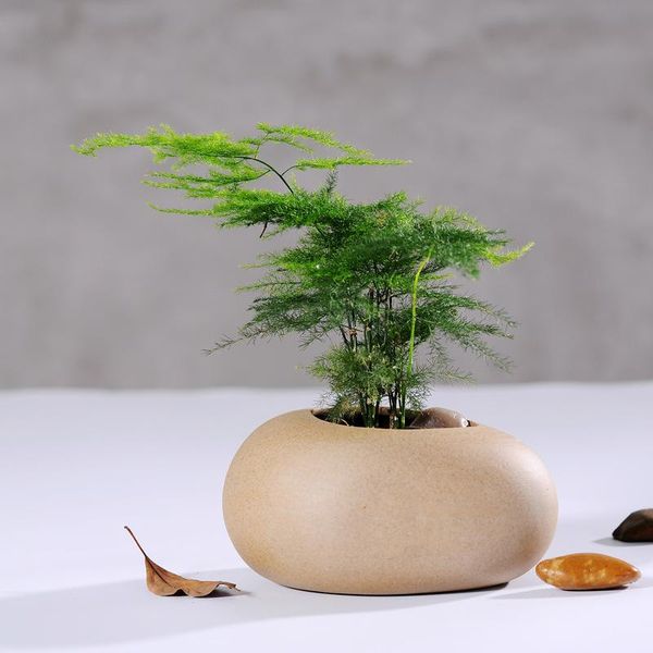 vases japanese style hand-made ceramics flowerpot tablevase plant bonsai flower home wedding decoration accessories for livingroom
vases japanese style hand-made ceramics flowerpot tablevase plant bonsai flower home wedding decoration accessories for livingroom