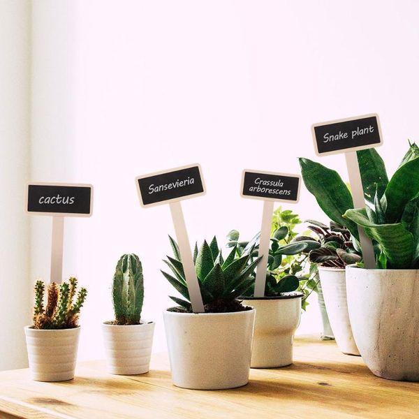 other garden supplies plant labels t-type tags plants wooden sign decor markers for seed potted herbs flowers
other garden supplies plant labels t-type tags plants wooden sign decor markers for seed potted herbs flowers