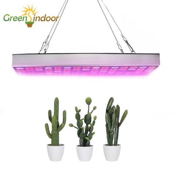 cultivation led lamp full spectrum phytolamp for plants smd2835 led grow light tent seedling fitolamp indoor phytolight uv ir
cultivation led lamp full spectrum phytolamp for plants smd2835 led grow light tent seedling fitolamp indoor phytolight uv ir