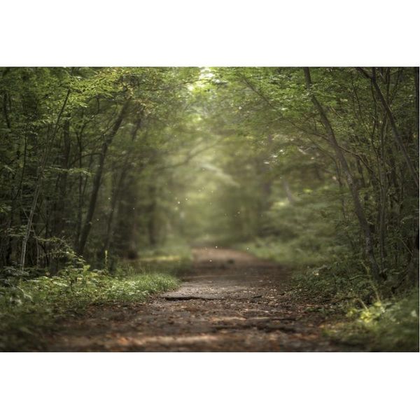 party decoration landscape backdrop forest path scenery pography background holiday celebration po booth studio decor
party decoration landscape backdrop forest path scenery pography background holiday celebration po booth studio decor