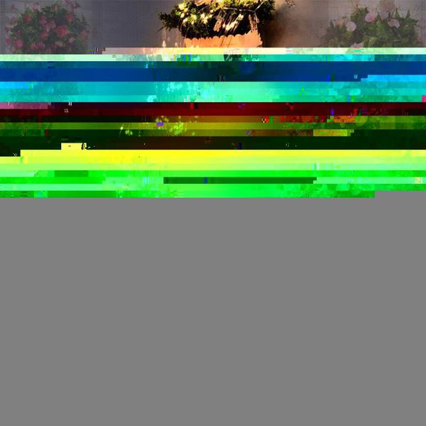 party decoration fairy string lights warm white leds tree wire rattan lamp light icicle wedding decorative waterfall holi x7n6
party decoration fairy string lights warm white leds tree wire rattan lamp light icicle wedding decorative waterfall holi x7n6