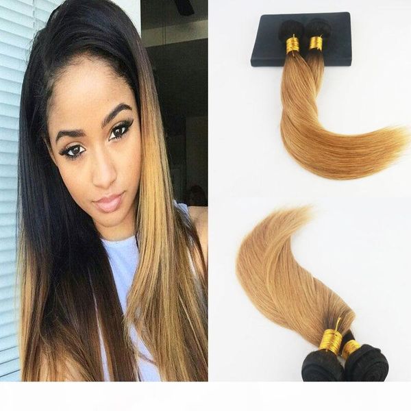 human hair wefts ombre color brazilian virgin hair #1b fading to #27 2pcs lot straight full set hair wefts extensions, Black
human hair wefts ombre color brazilian virgin hair #1b fading to #27 2pcs lot straight full set hair wefts extensions, Black