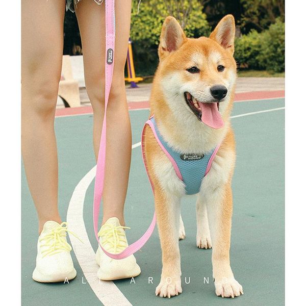 cat harness breathable mesh adjustable pet harness puppy cat vest collar small medium dog chihuahua dog and leash
cat harness breathable mesh adjustable pet harness puppy cat vest collar small medium dog chihuahua dog and leash