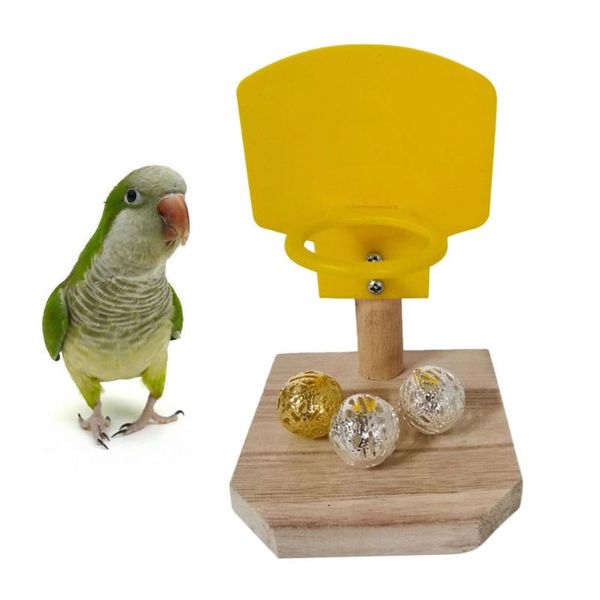 other bird supplies educational interactive basketball stands funny parrot training (with 3 ball, golden and silver random color)
other bird supplies educational interactive basketball stands funny parrot training (with 3 ball, golden and silver random color)