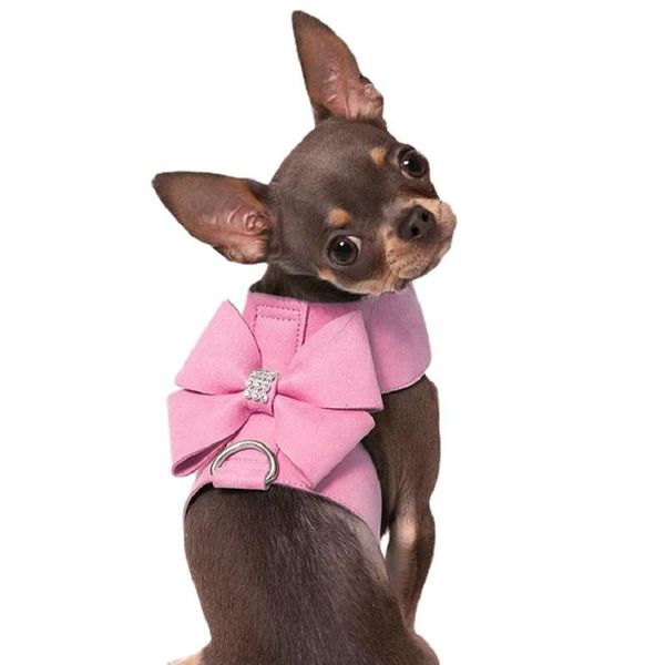 dog collars & leashes quality leather vest-style harness bowknot cat leash chihuahua teddy chest collar with 120cm
dog collars & leashes quality leather vest-style harness bowknot cat leash chihuahua teddy chest collar with 120cm