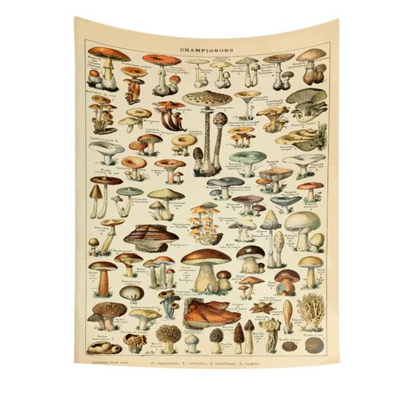 tapestries hanging wall decorative tapestry mushroom/flower print blanket carpet for bedroom living room sofa headboard
tapestries hanging wall decorative tapestry mushroom/flower print blanket carpet for bedroom living room sofa headboard