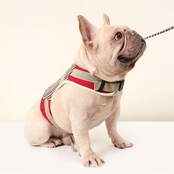 dog collars & leashes comfortable strong walking the outside pet harness vest with leash set chest strap secure traction rope for small medi
dog collars & leashes comfortable strong walking the outside pet harness vest with leash set chest strap secure traction rope for small medi