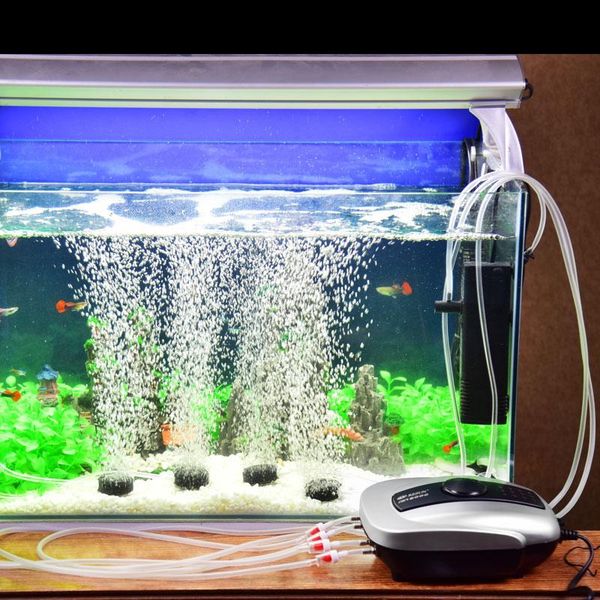 air pumps & accessories fish tank oxygen-increasing pump mute machine small oxygen-making for farming aquarium aerator
air pumps & accessories fish tank oxygen-increasing pump mute machine small oxygen-making for farming aquarium aerator