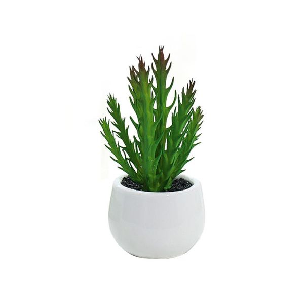 bonsai miniature tree potted plants artificial flower cactus living room green materials home decorations creative decoration
bonsai miniature tree potted plants artificial flower cactus living room green materials home decorations creative decoration