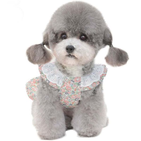 dog apparel summer pet skirt cute vest clothes lace floral small
dog apparel summer pet skirt cute vest clothes lace floral small