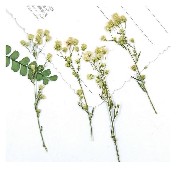 100pcs,natural pressed eternal flowers with branches,diy wedding invitation craft gift bookmark decoration,scented candle de jllzok
100pcs,natural pressed eternal flowers with branches,diy wedding invitation craft gift bookmark decoration,scented candle de jllzok