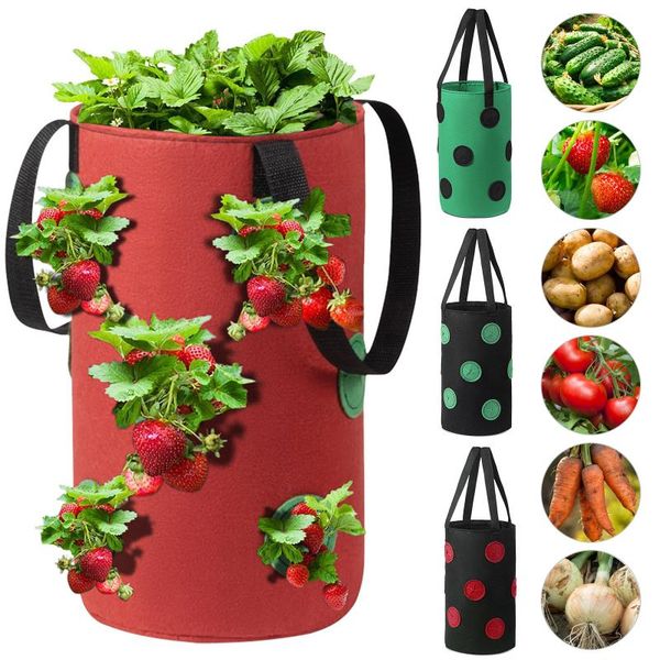 3 gallons gardening pots hanging strawberry planter grow bags pe planter grow pockets pots high-quality plant tools container
3 gallons gardening pots hanging strawberry planter grow bags pe planter grow pockets pots high-quality plant tools container