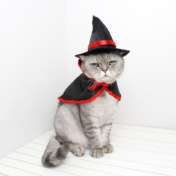 cat costumes cute cosplay costume wizard vampire cloak hat pet dog festival dressing up cloth halloween small cape
cat costumes cute cosplay costume wizard vampire cloak hat pet dog festival dressing up cloth halloween small cape