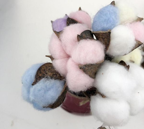 10pcs preserved cotton with stems for wedding party holiday birthday velentine's day gift favor home office l decoration
10pcs preserved cotton with stems for wedding party holiday birthday velentine's day gift favor home office l decoration