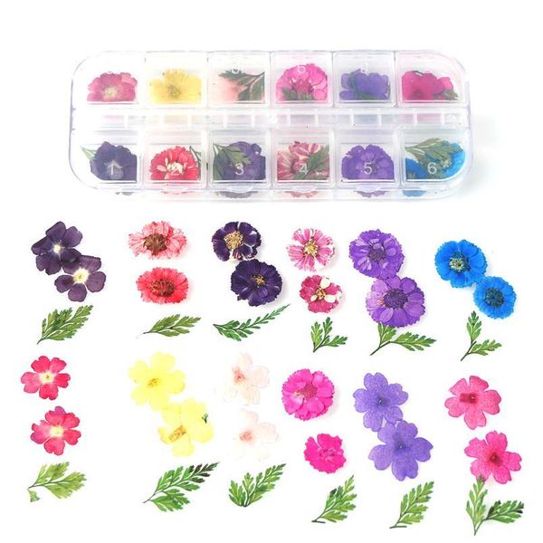 1 box real dried daisy flower dry plants for epoxy resin pendant necklace jewelry making craft diy accessories/diy qylyus
1 box real dried daisy flower dry plants for epoxy resin pendant necklace jewelry making craft diy accessories/diy qylyus