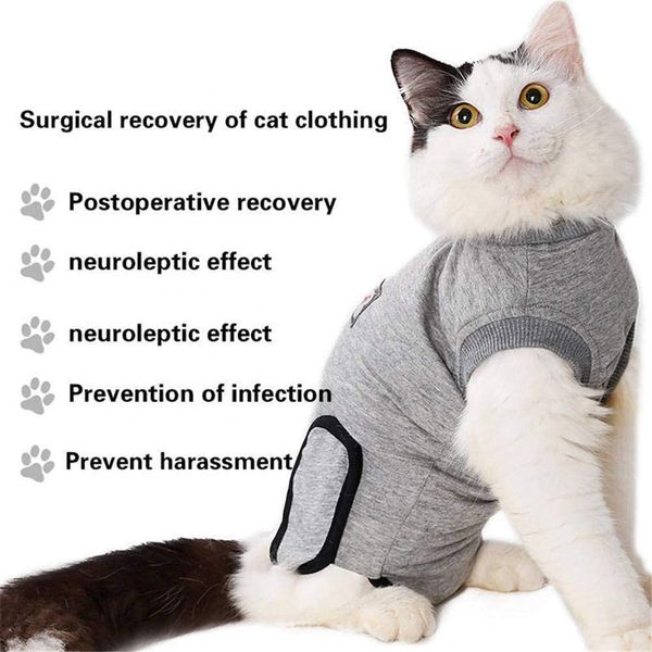Cat Recovery Suit For Abdominal Wounds And Skin Diseases Professional After Surgey For Small Medium Cats Kitten Wounds Skin Diseases
Cat Recovery Suit For Abdominal Wounds And Skin Diseases Professional After Surgey For Small Medium Cats Kitten Wounds Skin Diseases