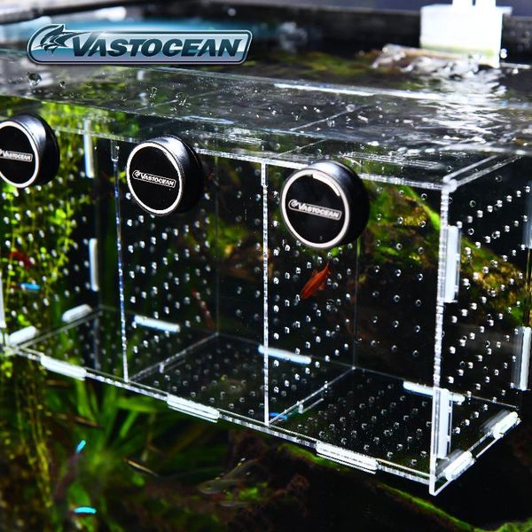 aquariums vastocean magnetic combined acrylic incubation isolation box breeding fish tank hatching ovipositor aquarium supplies
aquariums vastocean magnetic combined acrylic incubation isolation box breeding fish tank hatching ovipositor aquarium supplies