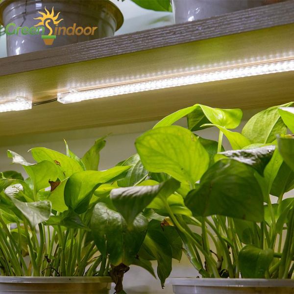 dimmable grow light white grow box indoor phytolamp for greenhouse cultivation flowering led bars house table plants phyto lamp
dimmable grow light white grow box indoor phytolamp for greenhouse cultivation flowering led bars house table plants phyto lamp