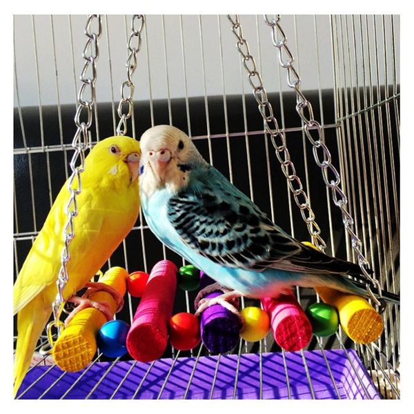 other bird supplies chew toy parrot parakeet budgie cockatiel cage hammock swing hanging hamster gerbil small pet
other bird supplies chew toy parrot parakeet budgie cockatiel cage hammock swing hanging hamster gerbil small pet