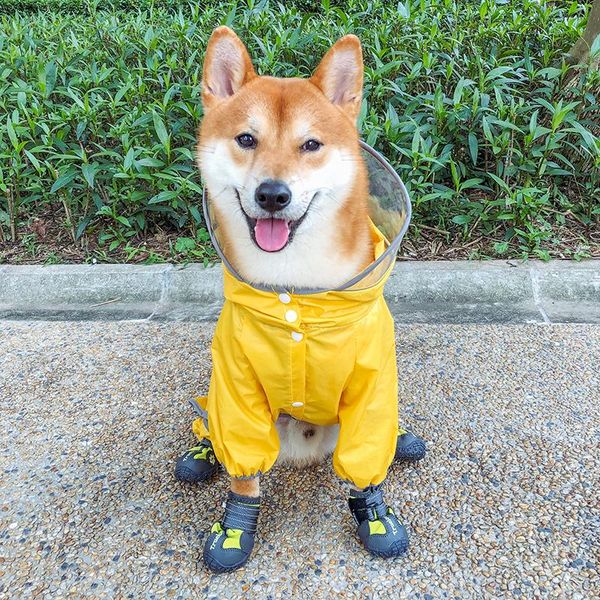 dog apparel teddy raincoat four-legged waterproof pet products rainy clothes charlie bear schnauzer shiba inu all inclusive
dog apparel teddy raincoat four-legged waterproof pet products rainy clothes charlie bear schnauzer shiba inu all inclusive