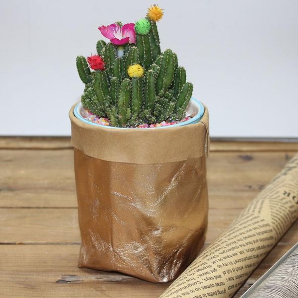 storage bags box bag washable kraft paper plant flowers pots multifunction home reuse
storage bags box bag washable kraft paper plant flowers pots multifunction home reuse