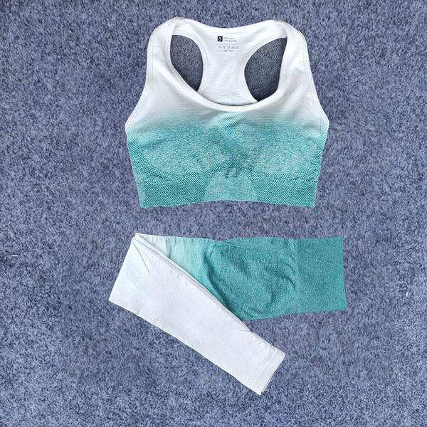 yoga outfit 2pcs/set ombre set sports bra leggings women gym crop clothes seamless workout fitness gradient sportswear suit
yoga outfit 2pcs/set ombre set sports bra leggings women gym crop clothes seamless workout fitness gradient sportswear suit