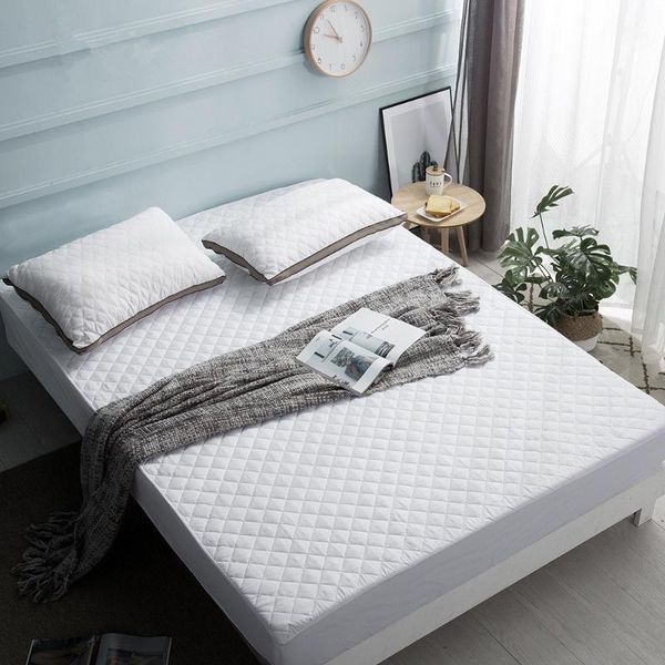 sheets & sets thicken quilted cotton bed sheet solid color mattress protector non-woven fabric fitted customize non-slip cover
sheets & sets thicken quilted cotton bed sheet solid color mattress protector non-woven fabric fitted customize non-slip cover
