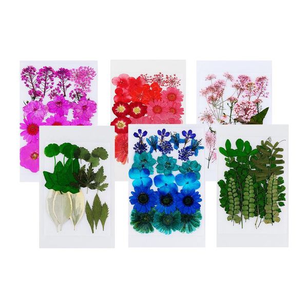 decorative flowers & wreaths 1 bag real dried pressed leaf colorful daisies for craft
decorative flowers & wreaths 1 bag real dried pressed leaf colorful daisies for craft