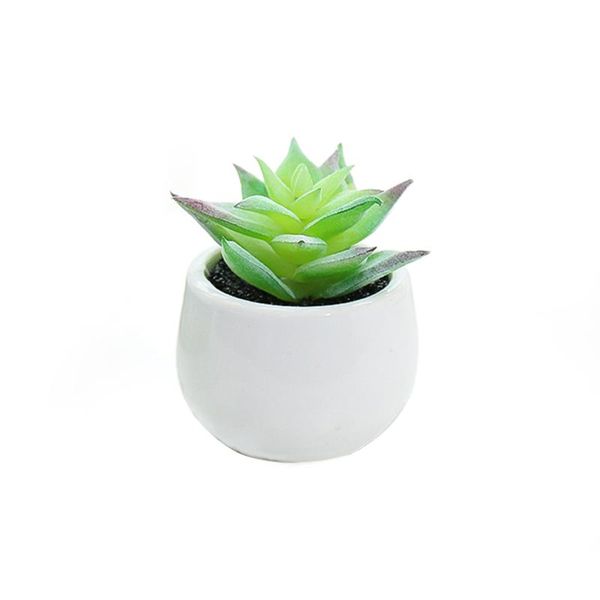 miniature tree potted succulents artificial plants creative decoration cactus table living room pvc fake green materials bonsai
miniature tree potted succulents artificial plants creative decoration cactus table living room pvc fake green materials bonsai