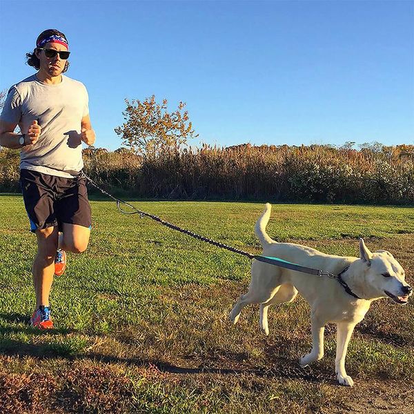 dog collars & leashes pets leash adjustable retractable rope multifunctional running traction belt reflective ropes pet supplies
dog collars & leashes pets leash adjustable retractable rope multifunctional running traction belt reflective ropes pet supplies