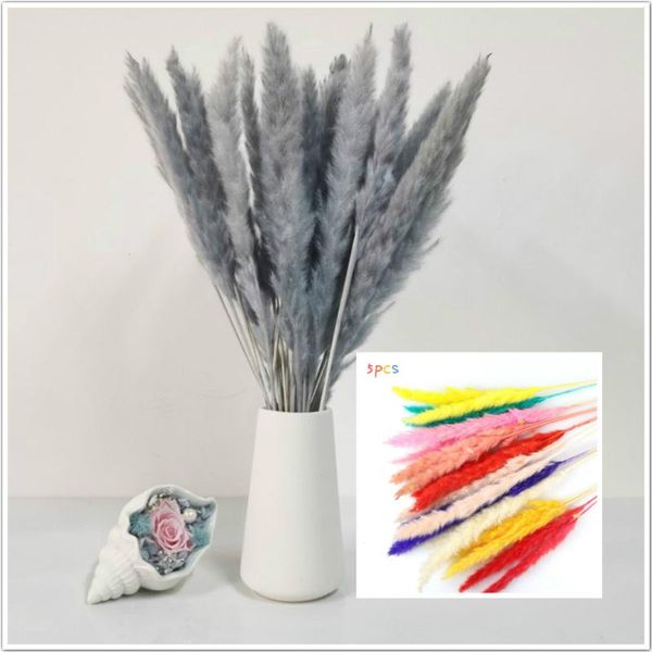 decorative flowers & wreaths 5pcs artificial pampas grass dried reed bouquet fake plant for home room decor wedding bunch tail
decorative flowers & wreaths 5pcs artificial pampas grass dried reed bouquet fake plant for home room decor wedding bunch tail
