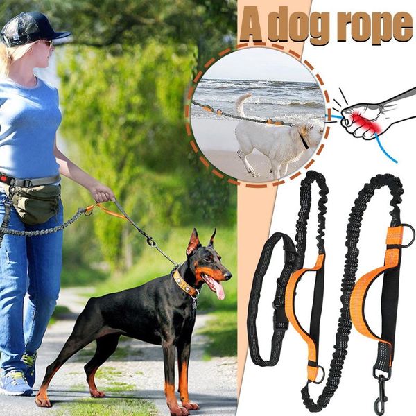 dog collars & leashes fashion multi function dogs leash waist pocket waterproof hands belt running elasticity adjustable
dog collars & leashes fashion multi function dogs leash waist pocket waterproof hands belt running elasticity adjustable