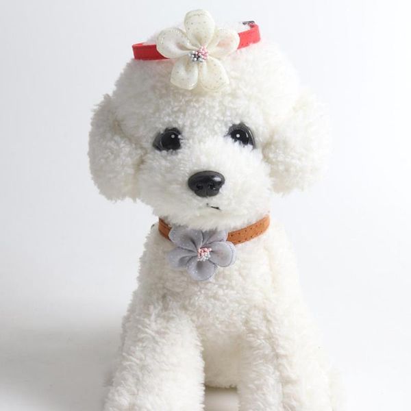 cat collars & leads decorative portable delicate craft cats collar faux suede dog necklace lovely for daily life
cat collars & leads decorative portable delicate craft cats collar faux suede dog necklace lovely for daily life