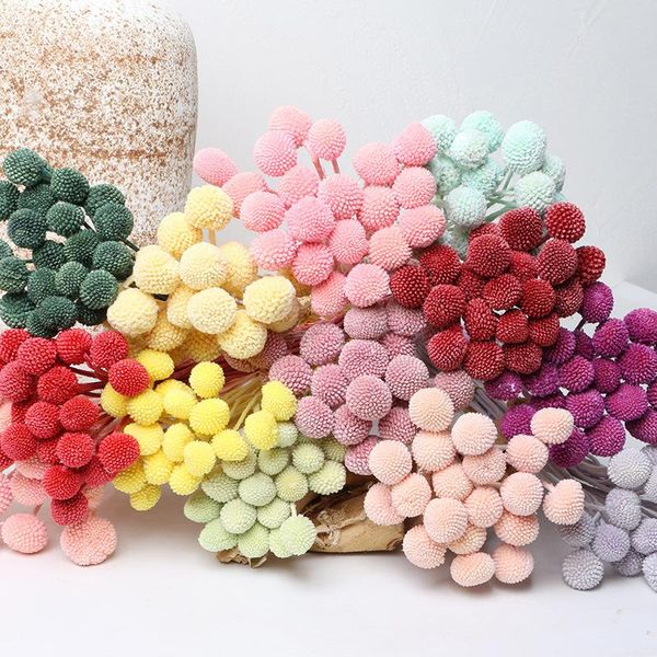 decorative flowers & wreaths 3/7pcs dried flower home decoration preserved plant ball natural eternell craspedia globosa bouquets forever go
decorative flowers & wreaths 3/7pcs dried flower home decoration preserved plant ball natural eternell craspedia globosa bouquets forever go